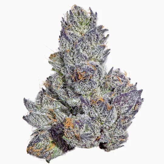 Fig Farms - Fig Farms | Cherry Martinelli | Big Buds - 1
