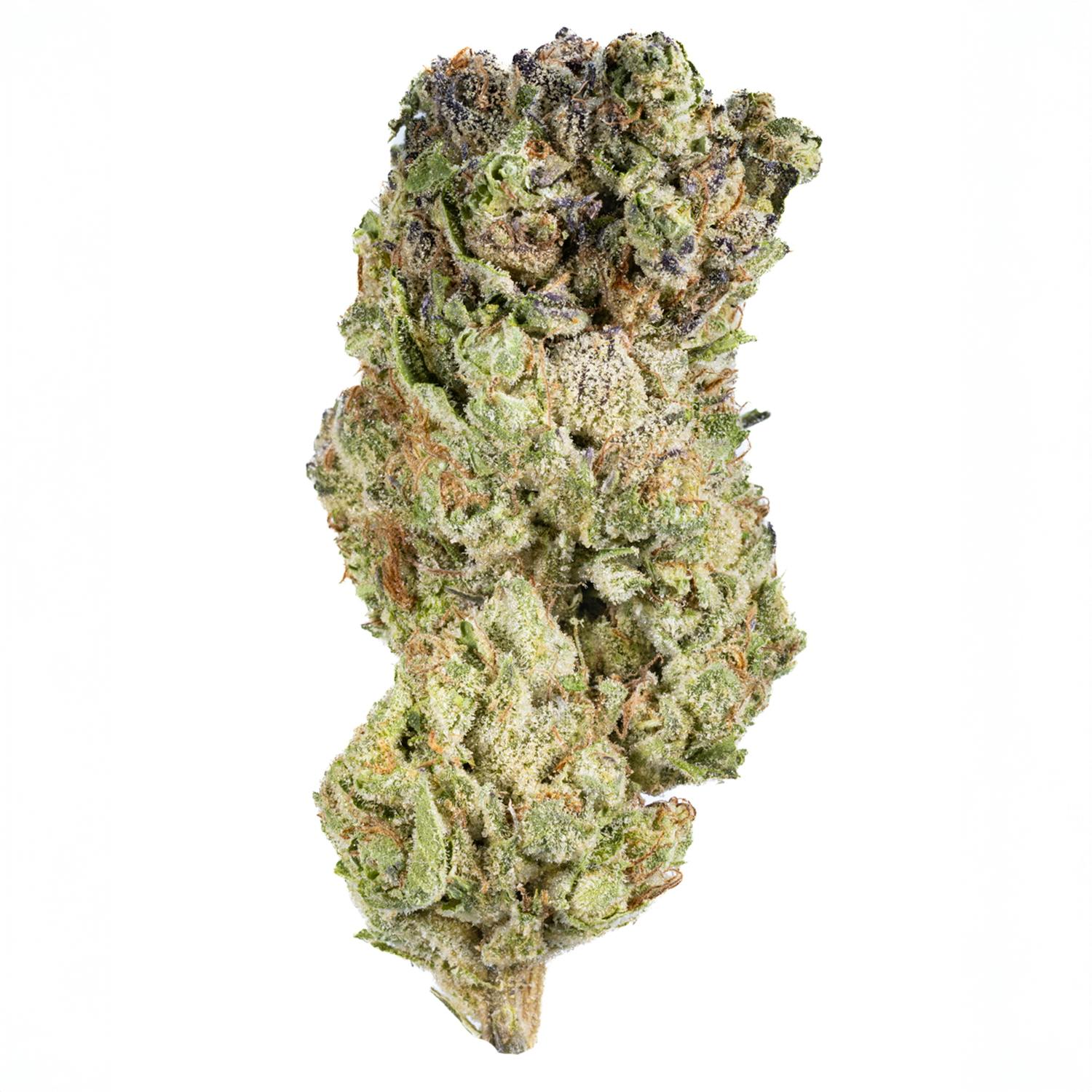 West Coast Cure - Biscotti Sherbet - 3.5G Premium Flower - 1