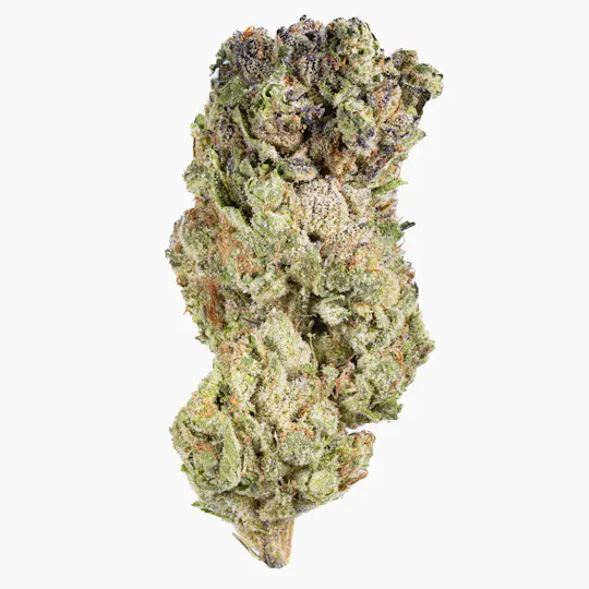West Coast Cure - Biscotti Sherbet - 3.5G Premium Flower - 1