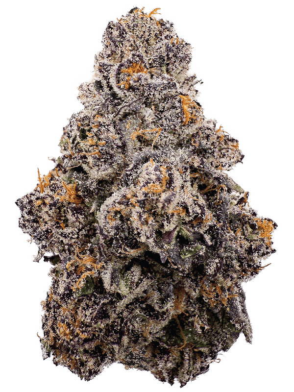 Rhize - Rhize | Sherb Cream Pie | Flower - 1