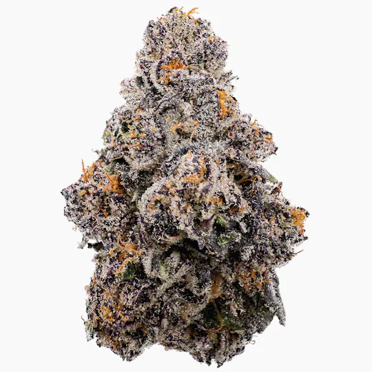 Rhize - Rhize | Sherb Cream Pie | Flower - 1