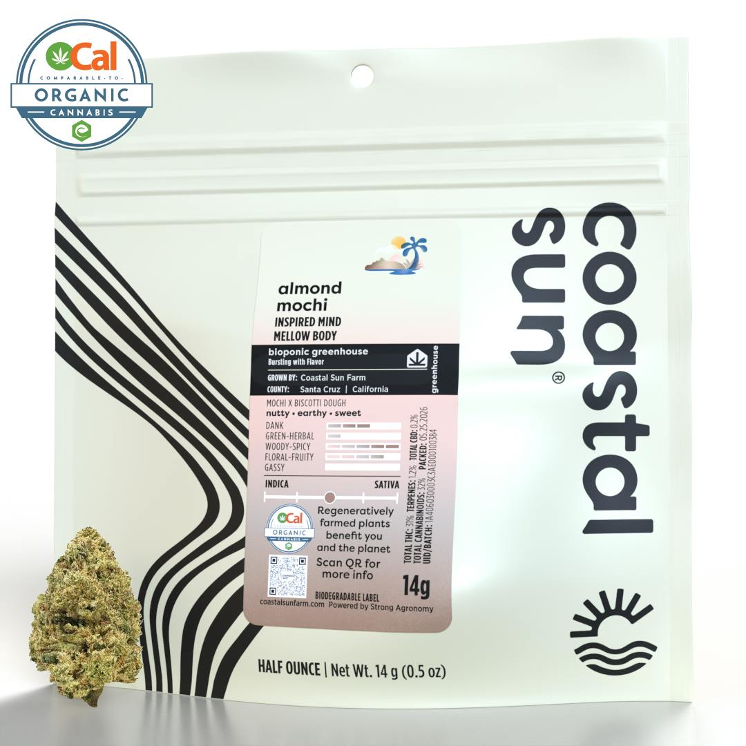Coastal Sun - Almond Mochi Greenhouse Flower 14g - 1