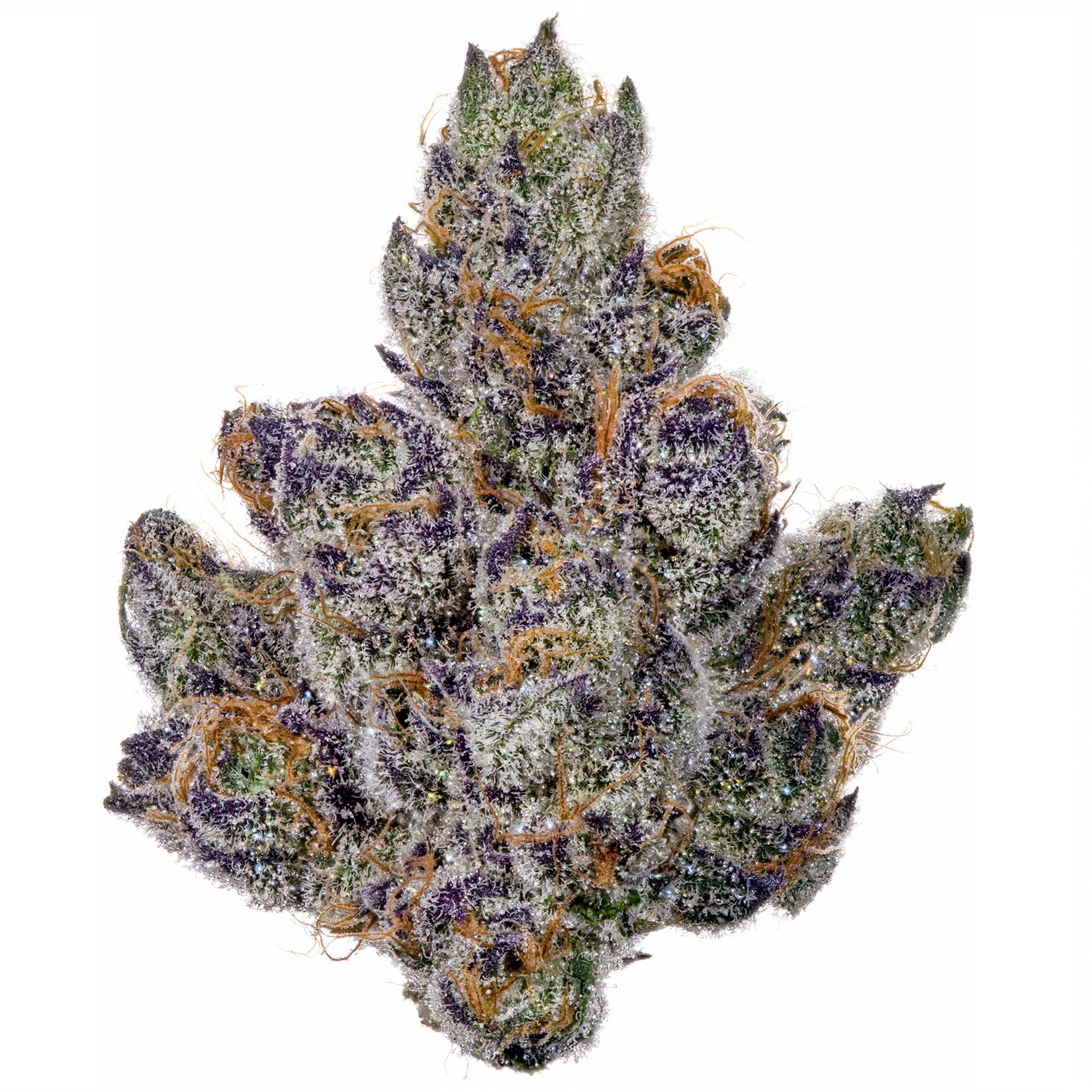Fig Farms - Fig Farms | Momochi | Big Buds - 1