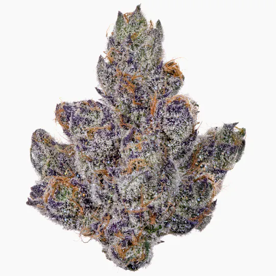 Fig Farms - Fig Farms | Momochi | Big Buds - 1