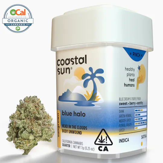 Coastal Sun - Blue Halo Sungrown Flower 7g - 1
