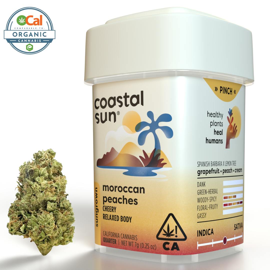 Coastal Sun - Coastal Sun | Moroccan Peaches | Sungrown Flower | 7g - 1