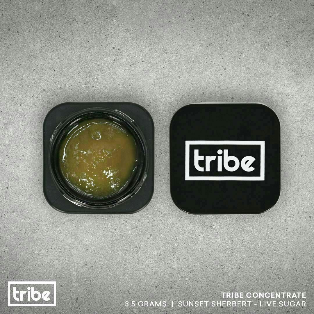 Tribe - Tribe | Sunset Sherbet | Live Sugar Bucket | 3.5g - 1