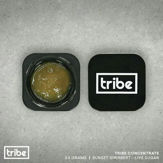 Tribe - Tribe | Sunset Sherbet | Live Sugar Bucket | 3.5g - 1