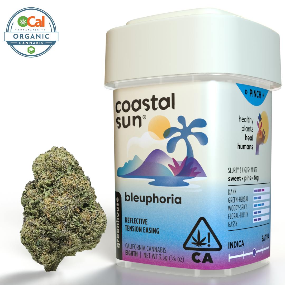 Coastal Sun - Coastal Sun | Bleuphoria | Greenhouse | 3.5g - 1