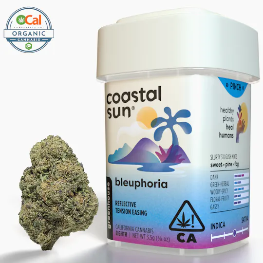 Coastal Sun - Coastal Sun | Bleuphoria | Greenhouse | 3.5g - 1