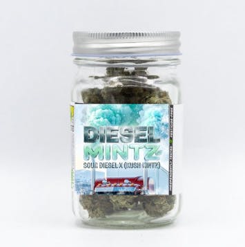 Phat Panda - Diesel Mintz | Big Buds | 7g - 1
