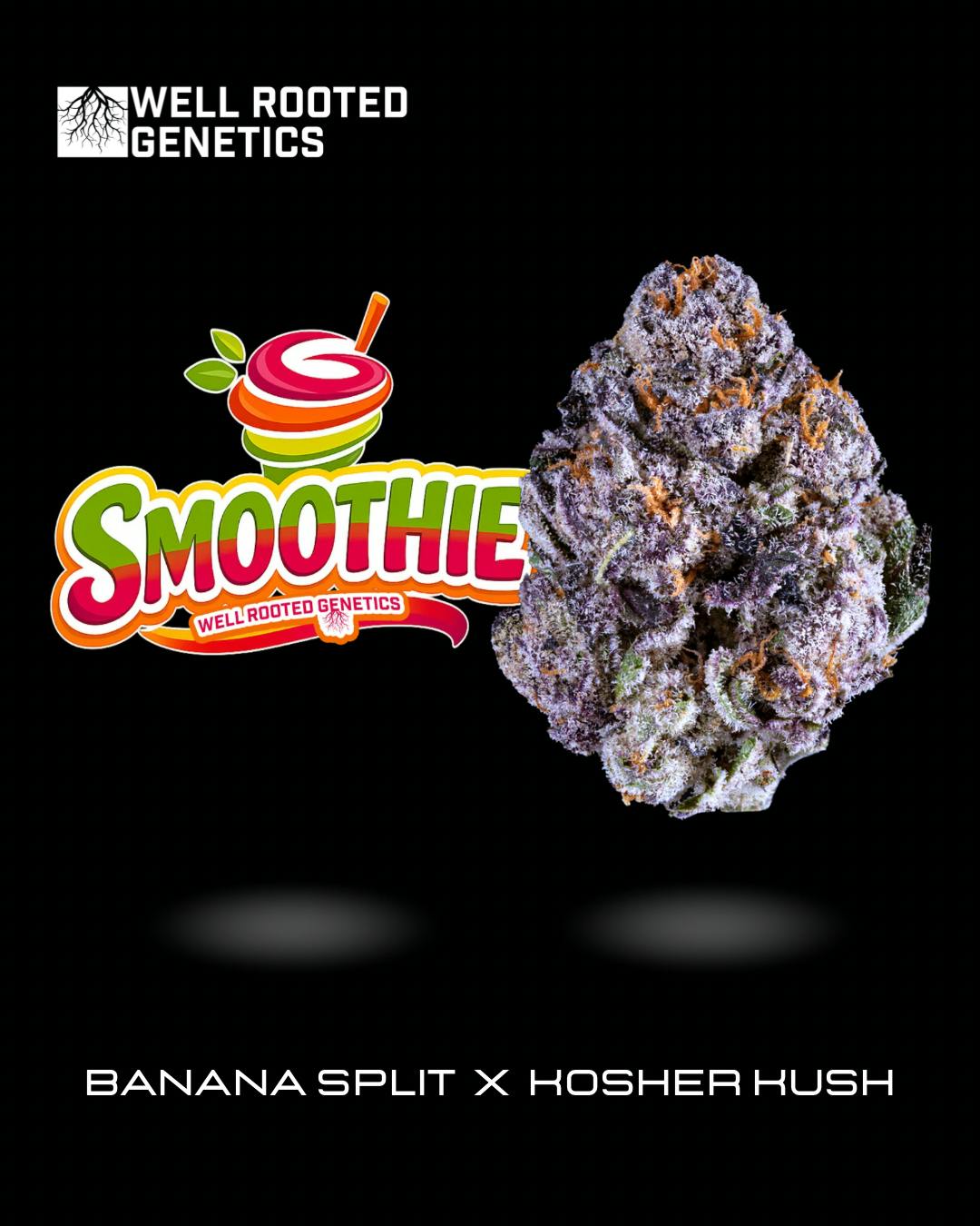 Well Rooted Genetics - Well Rooted Genetics | Smoothie | Big Buds | 3.5g - 1