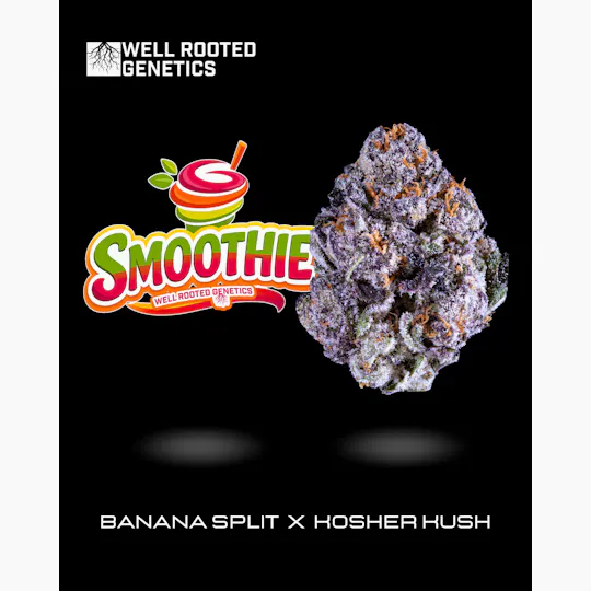 Well Rooted Genetics - Well Rooted Genetics | Smoothie | Big Buds | 3.5g - 1