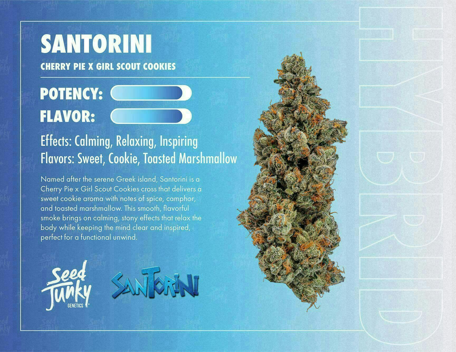 Seed Junky - Santorini | Big Buds | 3.5g - 1