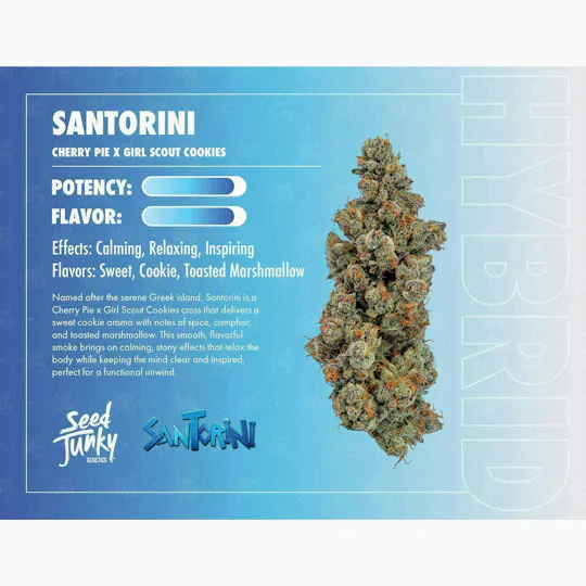 Seed Junky - Santorini | Big Buds | 3.5g - 1