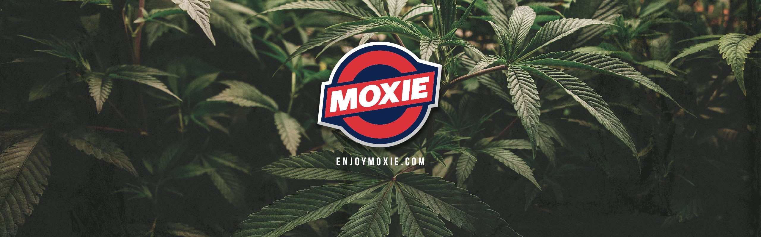 MOXIE banner