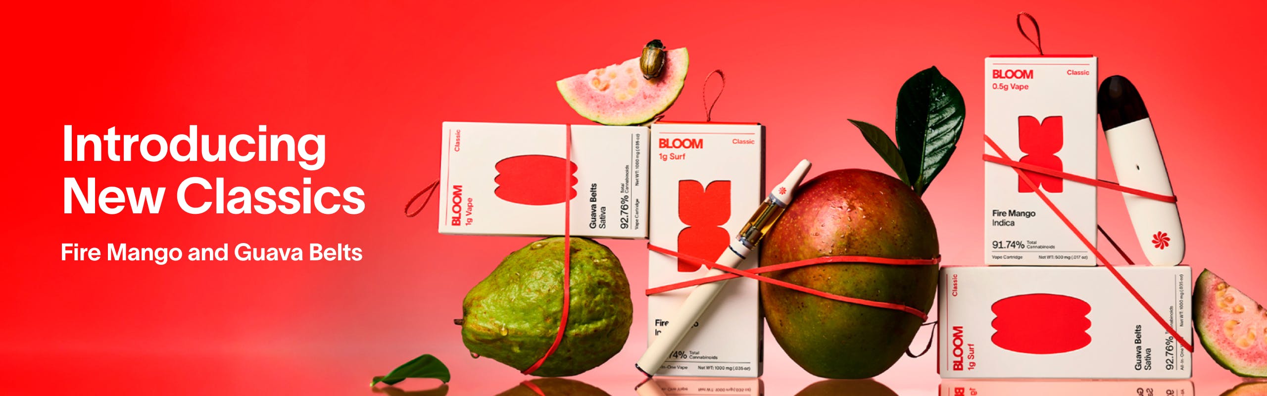 BLOOM brand banner