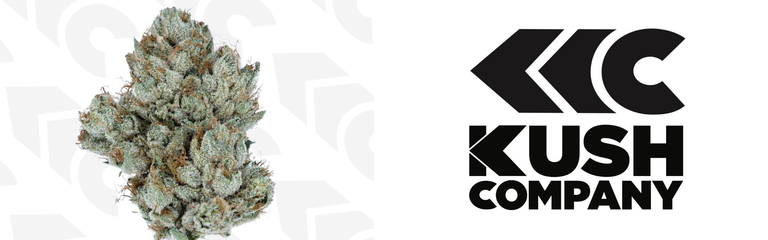 KushCompany brand banner