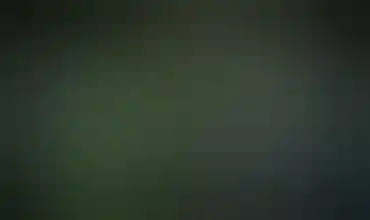 Green Dot Labs
