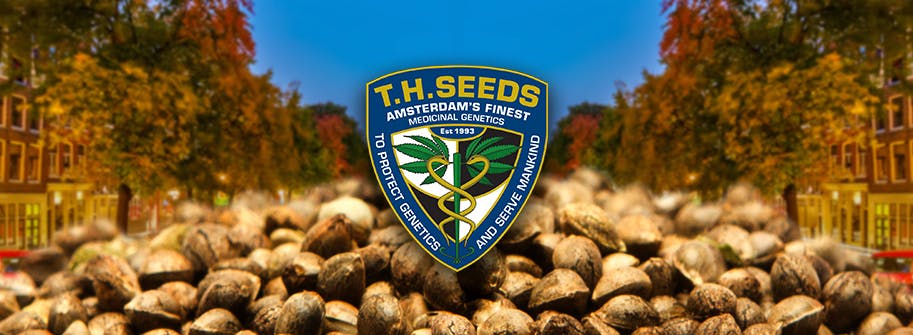 TH Seeds® brand banner