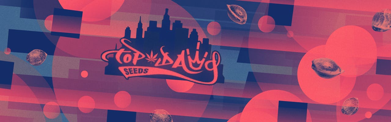 Top Dawg Seeds brand banner