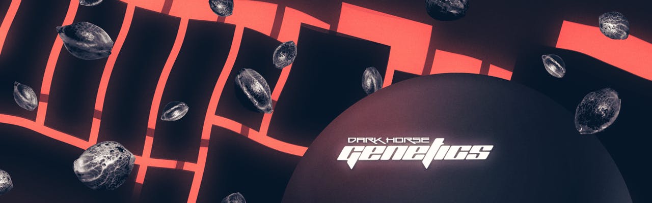 Dark Horse Genetics brand banner