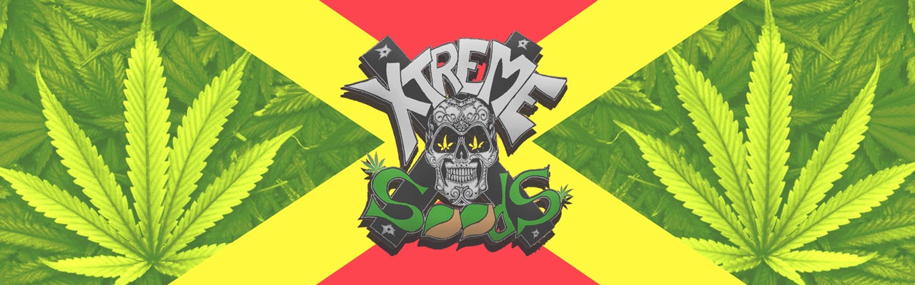 Xtreme Seeds banner