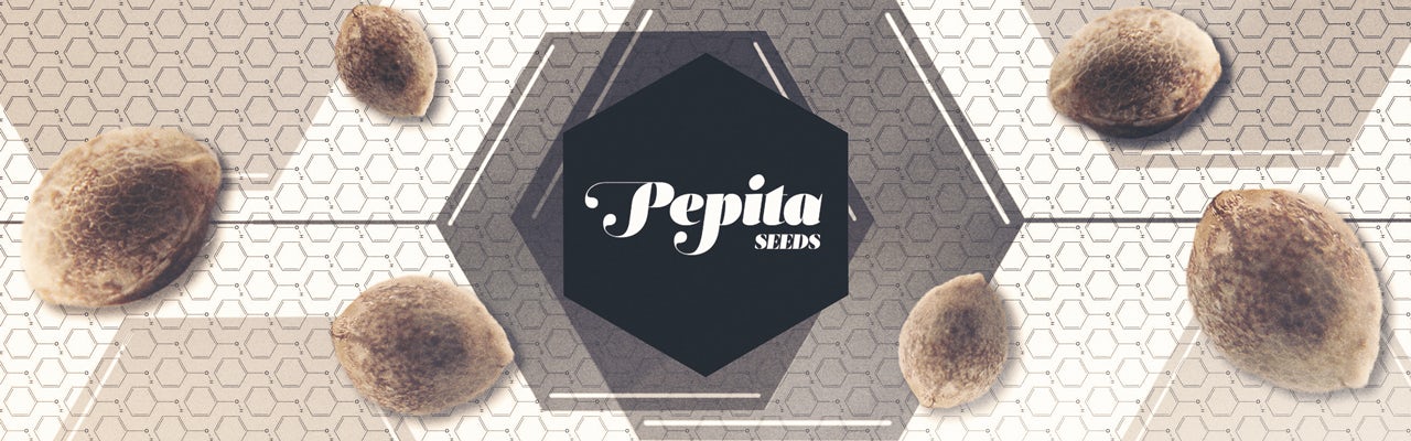 Pepita Seeds banner