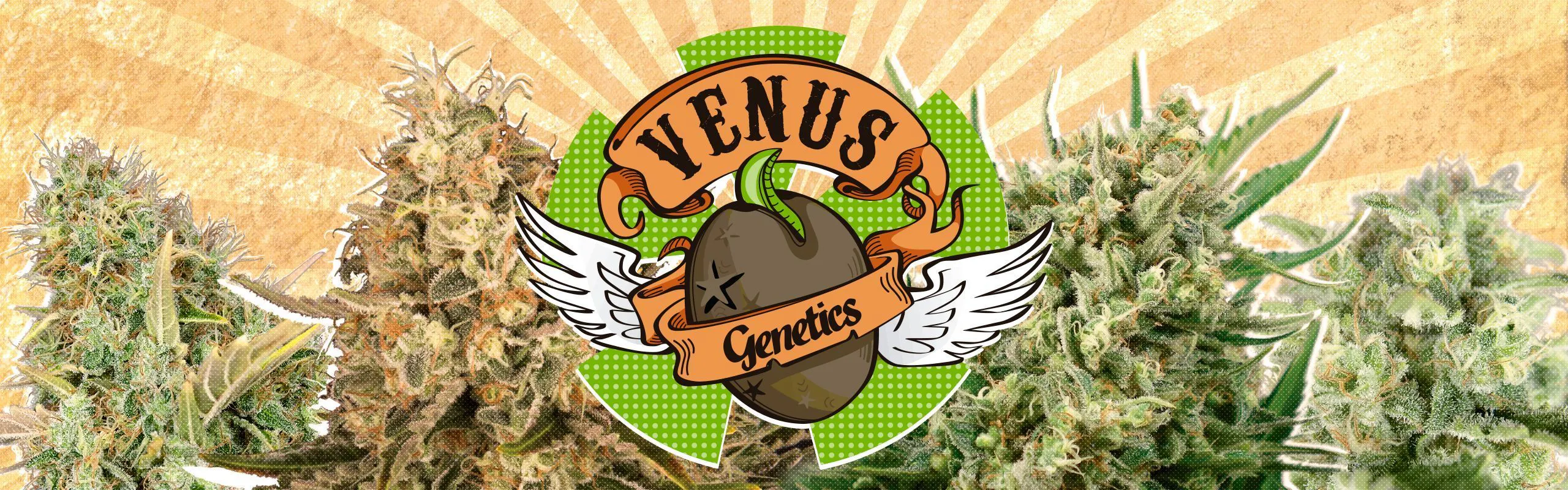 Venus Genetics brand banner
