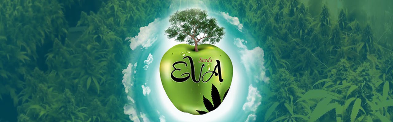 Eva Seeds brand banner