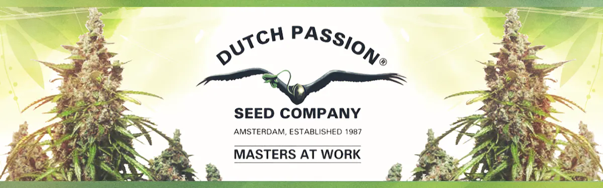 Dutch Passion Seed Company brand banner