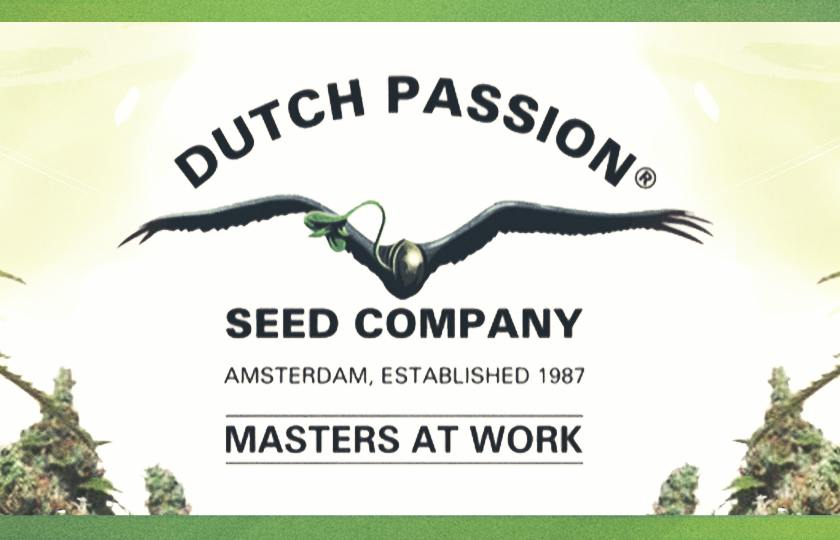 Dutch Passion Seed Company
