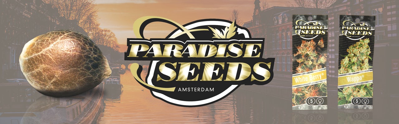Paradise Seeds banner