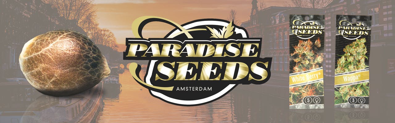 Paradise Seeds brand banner