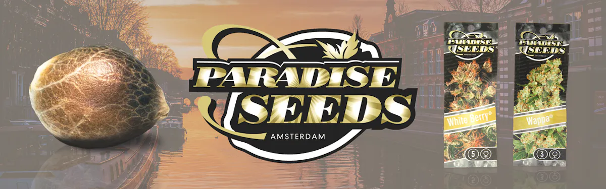 Paradise Seeds brand banner