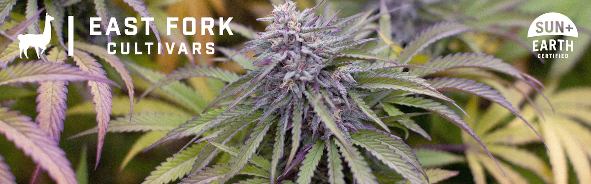 East Fork Cultivars brand banner