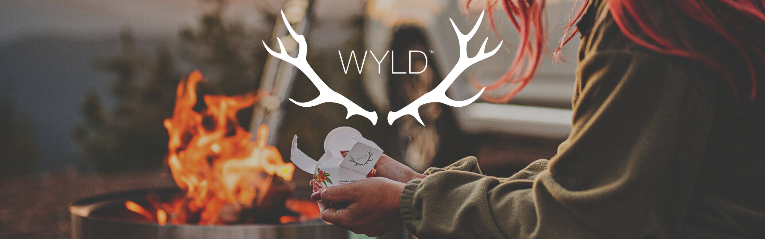 WYLD brand banner