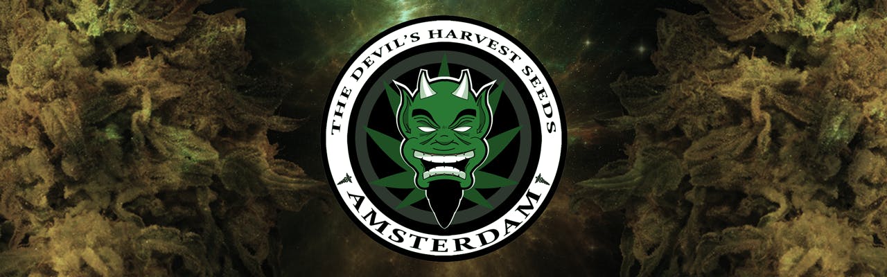 The Devil's Harvest Seeds brand banner