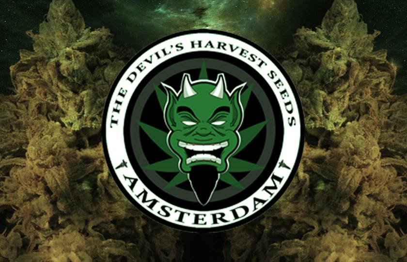 The Devil's Harvest Seeds