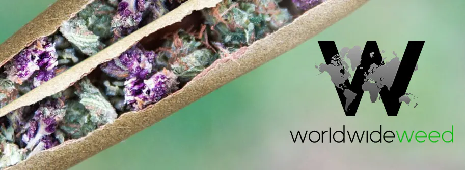 WorldWideWeed brand banner
