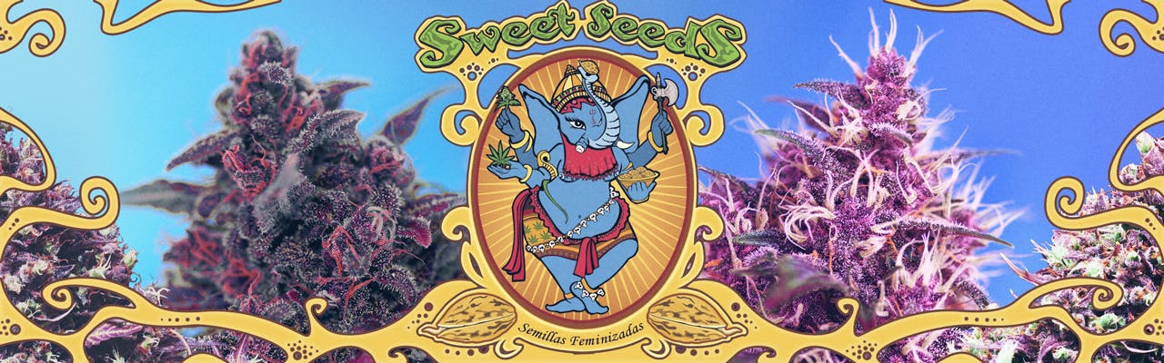 Sweet Seeds brand banner