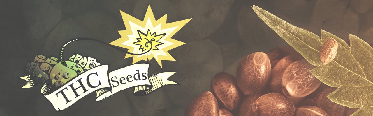 THC Seeds brand banner