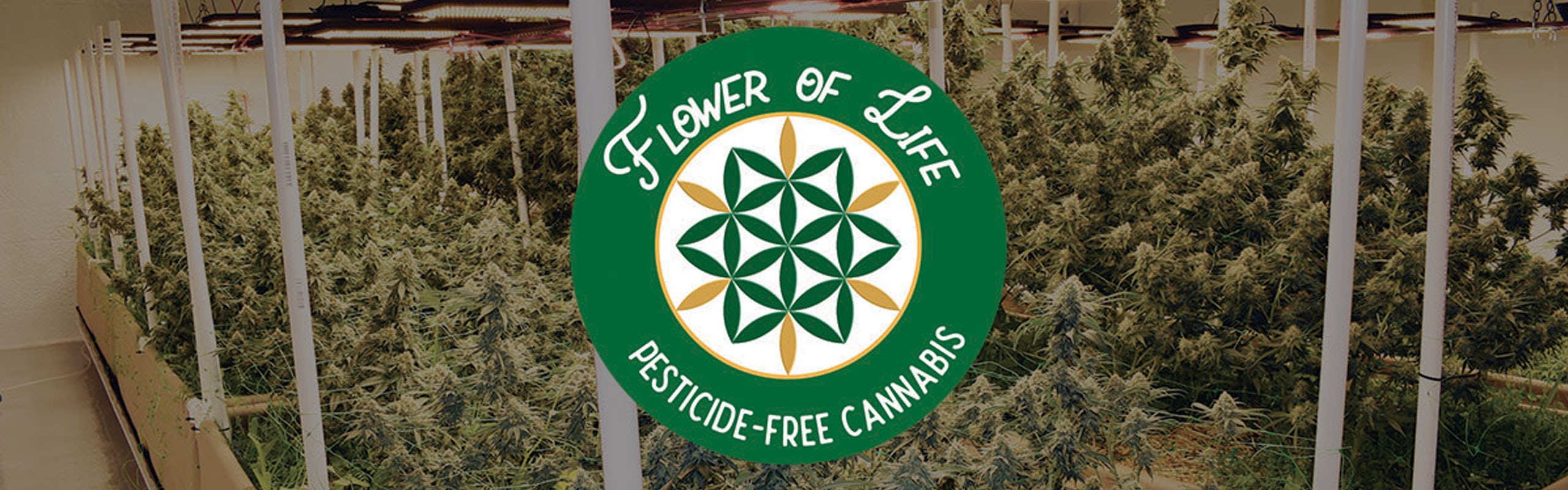 Flower of Life banner