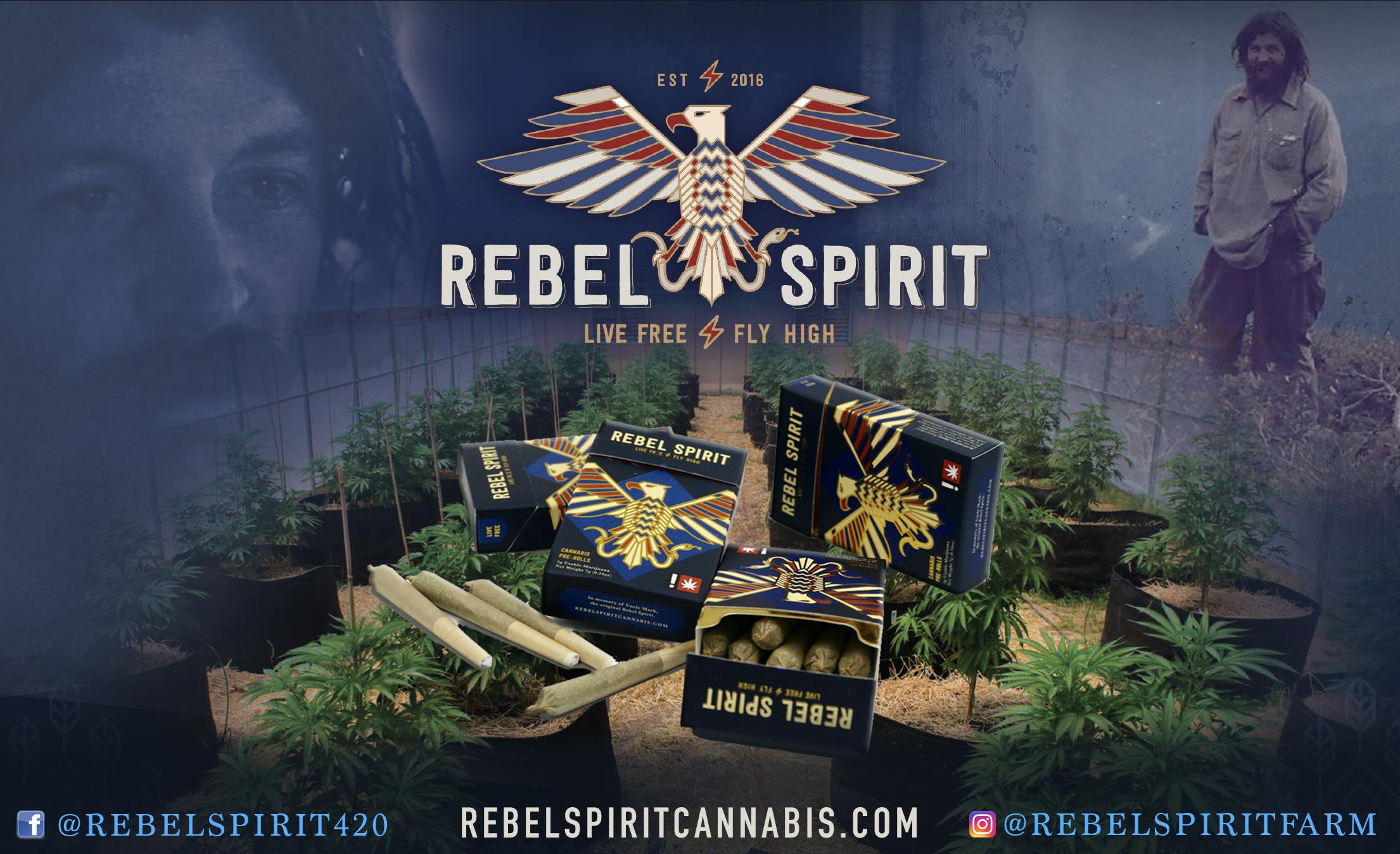 Rebel Spirit brand banner