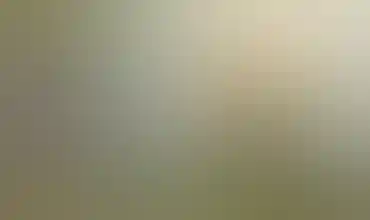 Cannassentials