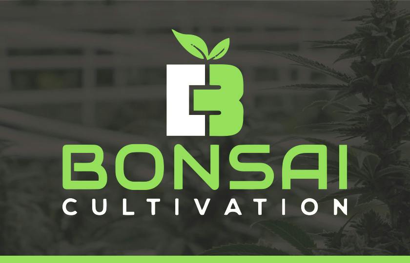 Bonsai Cultivation