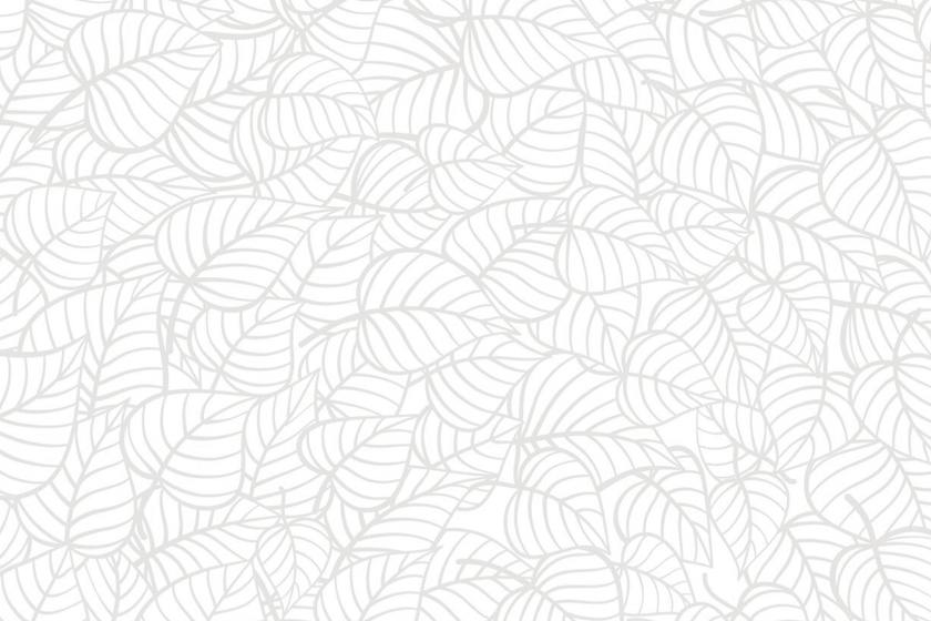 MÜV Cannabis Infused Products