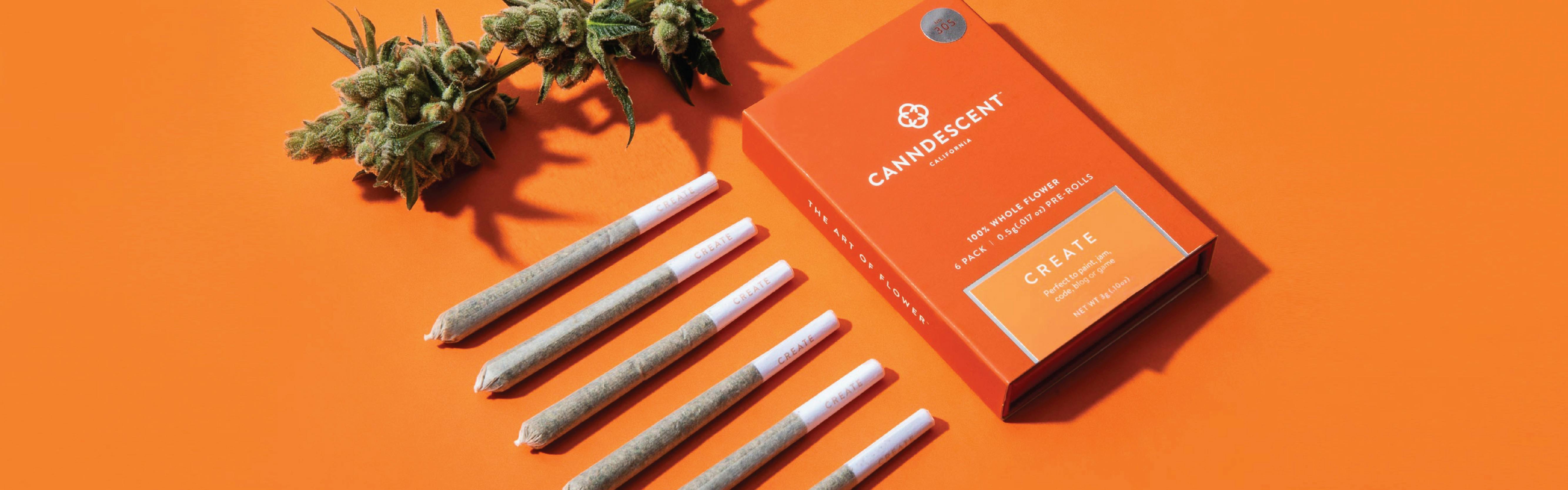Canndescent brand banner