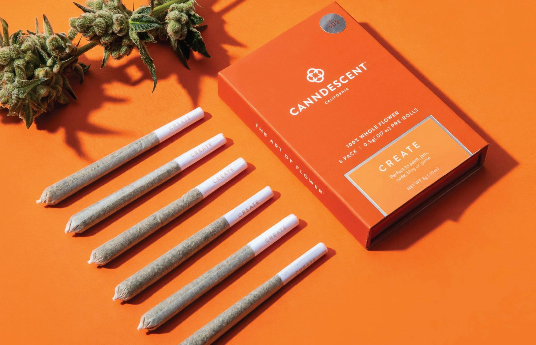 Canndescent
