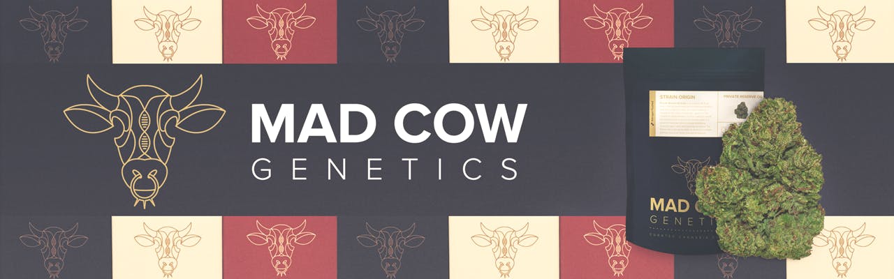 Mad Cow Genetics brand banner